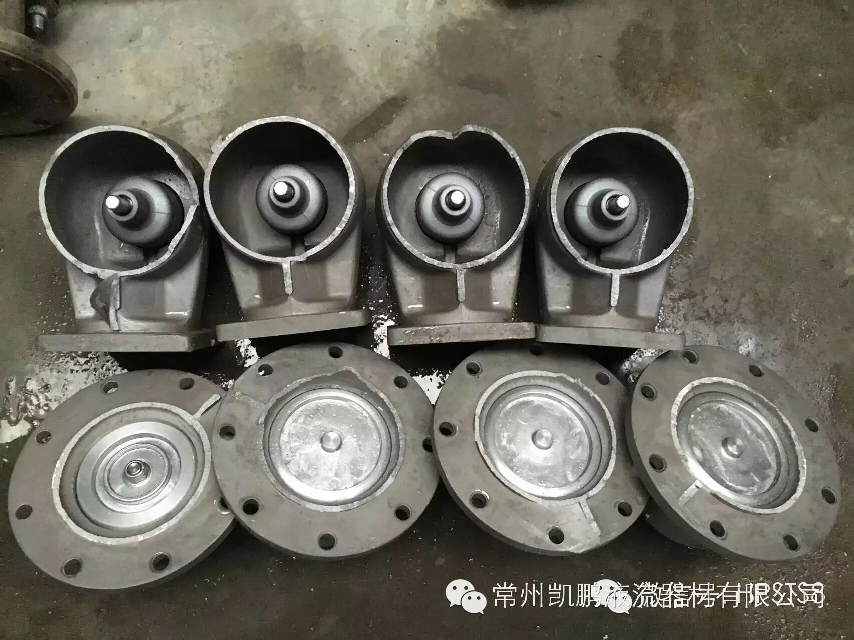 常州凯鹏公司顺利通过ADR认证